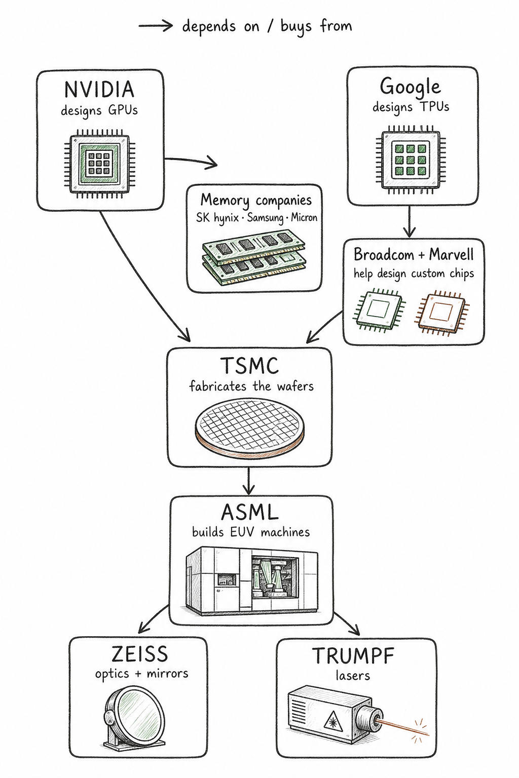 Supply-chain map showing NVIDIA depending on TSMC and memory companies, Google depending on Broadcom and Marvell, TSMC depending on ASML, and ASML depending on ZEISS and TRUMPF